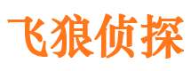 天元市侦探调查公司